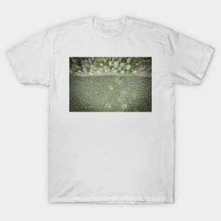 Top down aerial view of green nursery forest bordering with mature forest T-Shirt